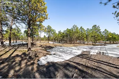 12188 Goodson Road, Colorado Springs, CO 80908 - Photo 8