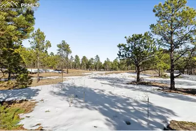 12188 Goodson Road, Colorado Springs, CO 80908 - Photo 10