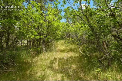 19220 Wakonda Way, Monument, CO 80132 - Photo 40