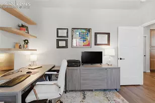 10008 Emerald Lk Ln, Colorado Springs, CO 80924 - Photo 22