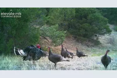 28790 County Road 63.1, Aguilar, CO 81020 - Photo 18