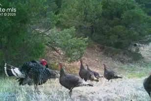 28790 County Road 63 1, Aguilar, CO 81020 - Photo 18