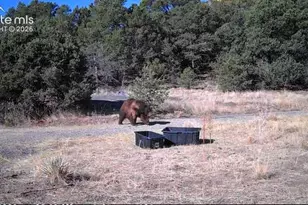 28790 County Road 63 1, Aguilar, CO 81020 - Photo 44