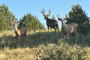 28790 County Road 63 1, Aguilar, CO 81020 - Photo 26
