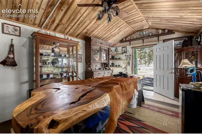 201 Lake Drive, Florissant, CO 80816 - Photo 18
