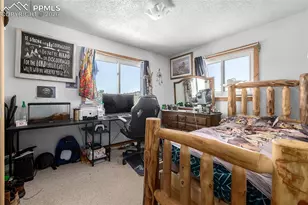 201 Lake Dr, Florissant, CO 80816 - Photo 14