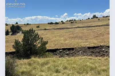 Unknown Road, Cripple Creek, CO 80813 - Photo 6