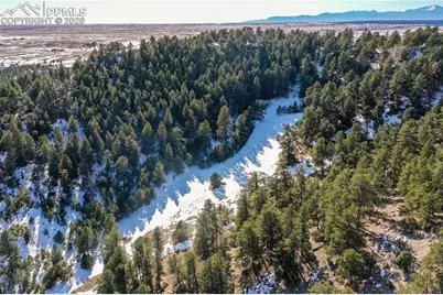 16490 Mesquite Road, Peyton, CO 80831 - Photo 8