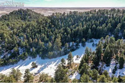 16490 Mesquite Road, Peyton, CO 80831 - Photo 6