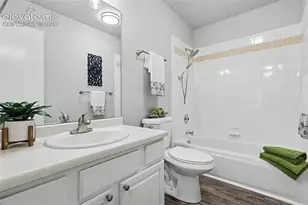 1010 Magic Lamp Way, Monument, CO 80132 - Photo 10