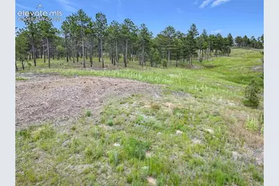 14863 Bourbon Court, Colorado Springs, CO 80908 - Photo 14