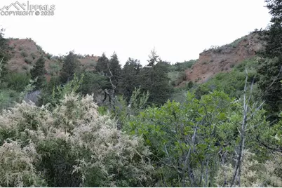 1096 Laguna Point, Manitou Springs, CO 80829 - Photo 6