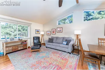 517 Crystal Peak Road, Florissant, CO 80816 - Photo 8
