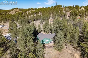 517 Crystal Peak Rd, Florissant, CO 80816 - Photo 32