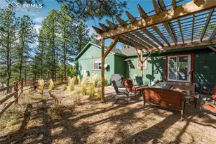 517 Crystal Peak Rd, Florissant, CO 80816 - Photo 24