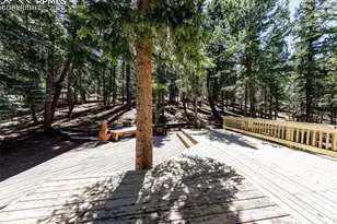 2873 Sunnywood Ave, Woodland Park, CO 80863 - Photo 20