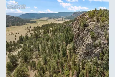 1137 County Road 111, Florissant, CO 80816 - Photo 2