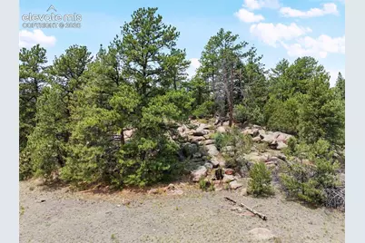 1137 County Road 111, Florissant, CO 80816 - Photo 18