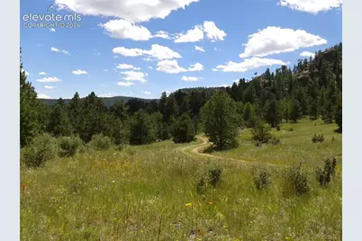1137 County Road 111, Florissant, CO 80816 - Photo 42
