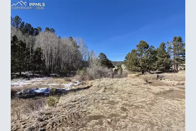 38340 US Highway 24, Lake George, CO 80827 - Photo 8