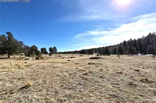 38340 US Hwy 24, Lake George, CO 80827 - Photo 14