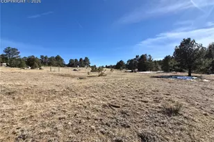 38340 US Hwy 24, Lake George, CO 80827 - Photo 12