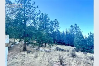 233 Rabbil Creek Trail, Florissant, CO 80816 - Photo 1
