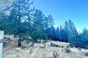 233 Rabbil Creek Dr, Florissant, CO 80816 - Photo 1