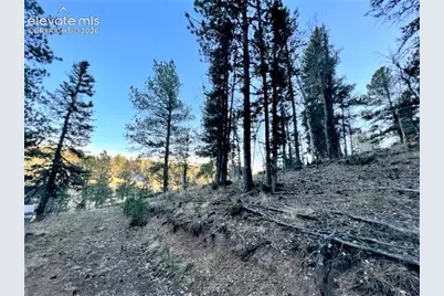 233 Rabbil Creek Drive, Florissant, CO 80816 - Photo 6