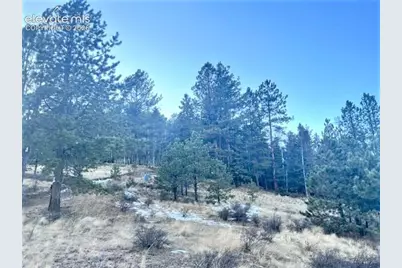 233 Rabbil Creek Drive, Florissant, CO 80816 - Photo 2