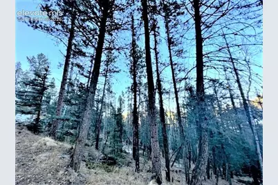 233 Rabbil Creek Drive, Florissant, CO 80816 - Photo 4