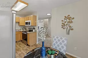 718 Cima Vista Point, Colorado Springs, CO 80916 - Photo 18
