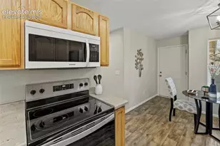 718 Cima Vista Point, Colorado Springs, CO 80916 - Photo 20
