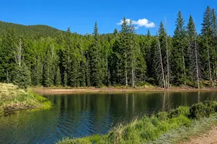 355 Maroon Lake Cir, Divide, CO 80814 - Photo 24