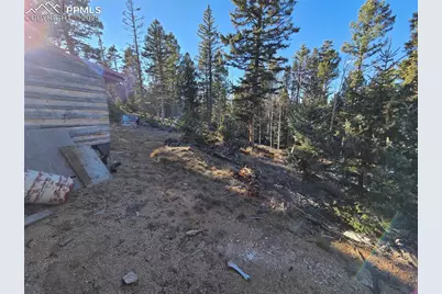 1434 Blue Mesa Drive, Divide, CO 80814 - Photo 8