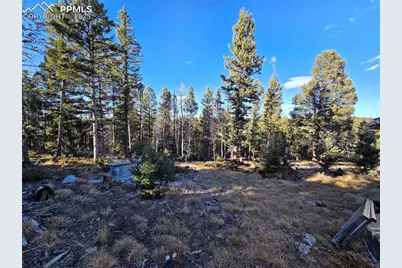 1434 Blue Mesa Drive, Divide, CO 80814 - Photo 6