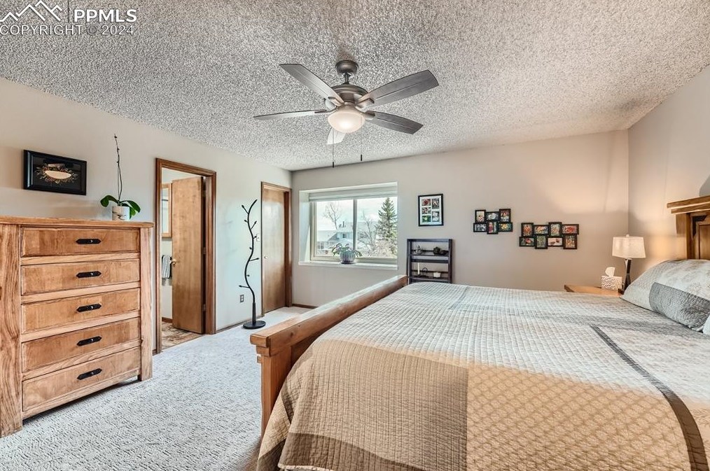 8430 Candleflower Cir, Colorado Springs CO  80920-5761 exterior
