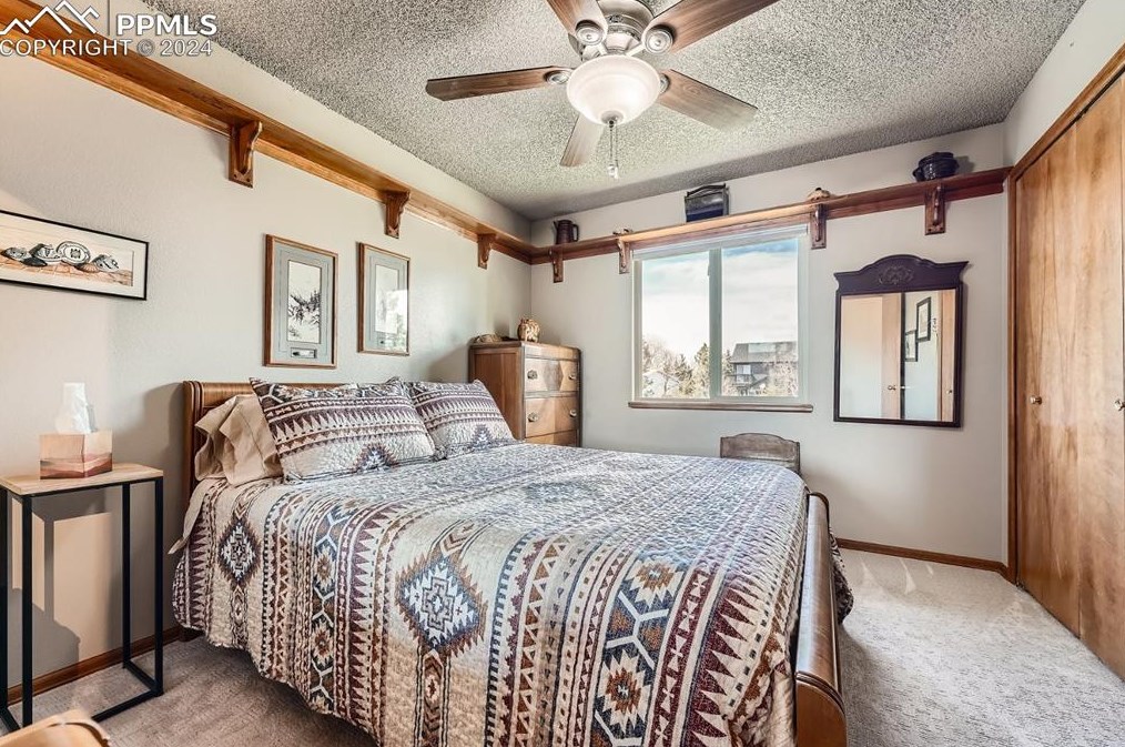 8430 Candleflower Cir, Colorado Springs CO  80920-5761 exterior