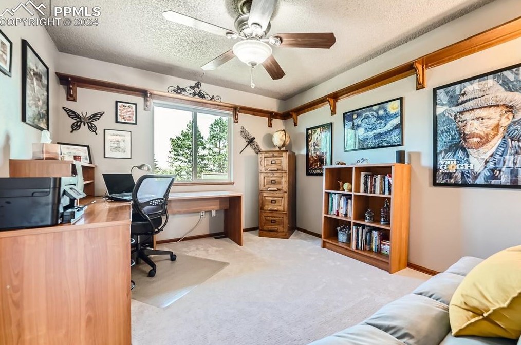 8430 Candleflower Cir, Colorado Springs CO  80920-5761 exterior