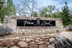 317 Deer Crossing, Castle Rock, CO 80104 - Photo 50