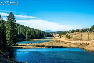 70 Cheesman Lake Cir, Divide, CO 80814 - Photo 4