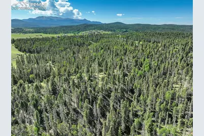 4797 County Road 42, Divide, CO 80814 - Photo 42