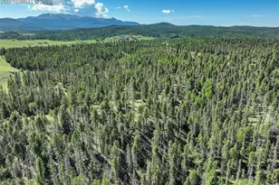 4797 Co Rd 42, Divide, CO 80814 - Photo 42