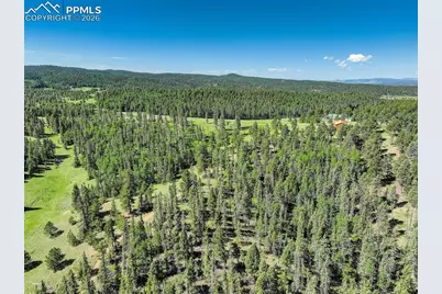 4797 County Road 42, Divide, CO 80814 - Photo 40