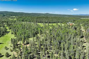 4797 Co Rd 42, Divide, CO 80814 - Photo 40