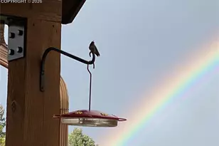 4797 Co Rd 42, Divide, CO 80814 - Photo 36