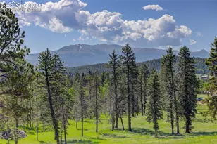 4797 Co Rd 42, Divide, CO 80814 - Photo 2