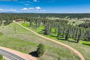 4797 Co Rd 42, Divide, CO 80814 - Photo 8