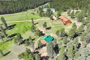 4797 Co Rd 42, Divide, CO 80814 - Photo 6