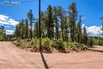 210 Donzi Trail, Florissant, CO 80816 - Photo 20